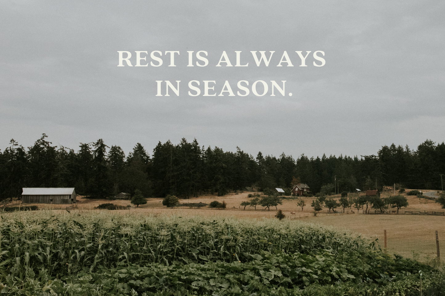 Salty Stay Cabin Gift Card